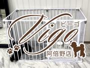 Vigo ������Ź